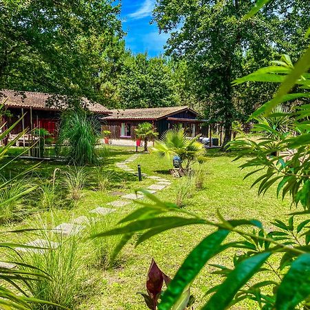 Hacienda De La Canopee Avec Piscine Chauffee Au Sel Hourtin Luaran gambar