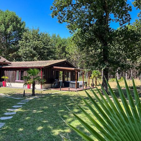 Hacienda De La Canopee Avec Piscine Chauffee Au Sel Hourtin Luaran gambar