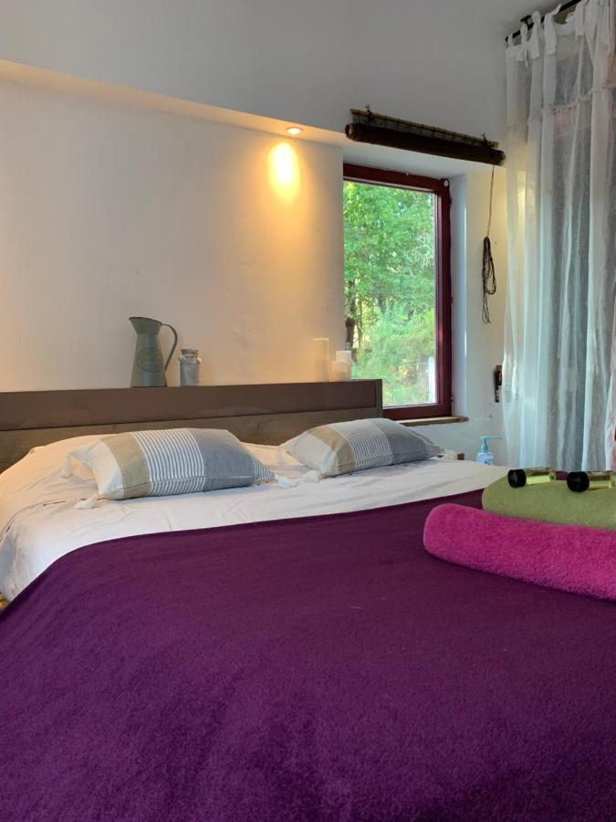 Hacienda De La Canopee Avec Piscine Chauffee Au Sel Hourtin Luaran gambar