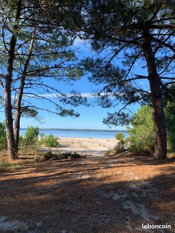 Hacienda De La Canopee Avec Piscine Chauffee Au Sel Hourtin Luaran gambar