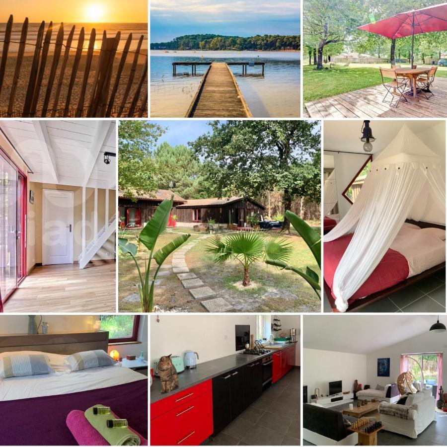 Hacienda De La Canopee Avec Piscine Chauffee Au Sel Hourtin Luaran gambar