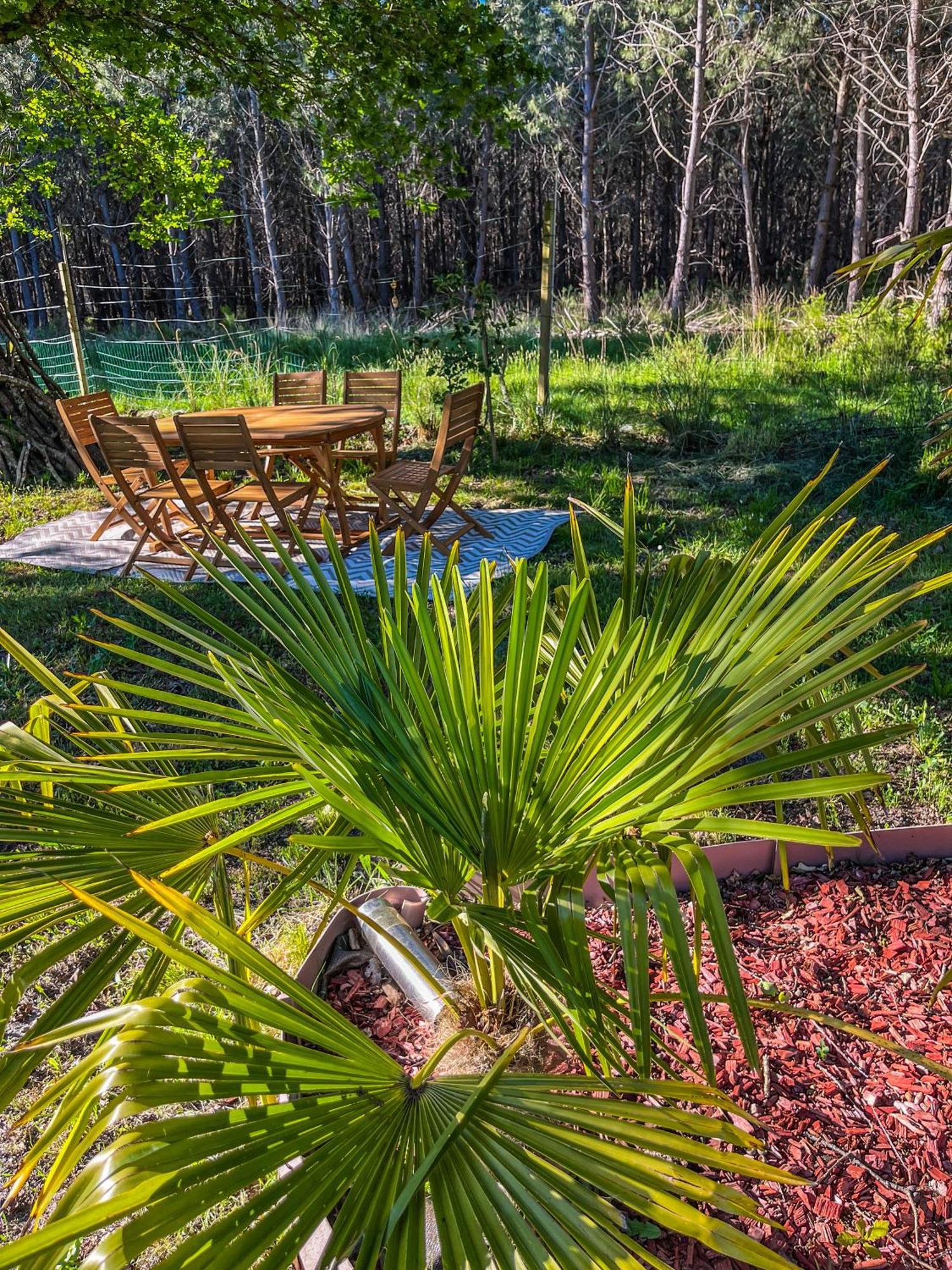 Hacienda De La Canopee Avec Piscine Chauffee Au Sel Hourtin Luaran gambar